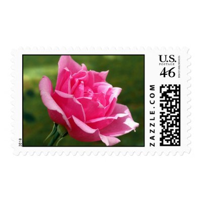 Elegant Pink Rose Stamp