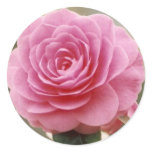ELEGANT PINK ROSE stickers