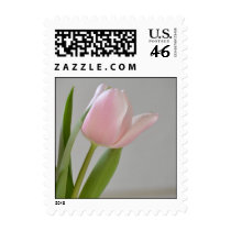 Elegant Pink Tulip postage
