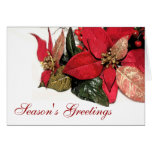 Elegant Poinsettia Seasons Greetings Holiday Card