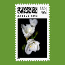 Elegant Postage postage