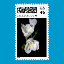 Elegant Postage stamps
