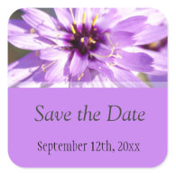 Elegant, pretty purple daisy flower  save the date square sticker