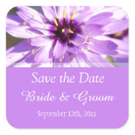 Elegant, pretty purple daisy flower  save the date sticker