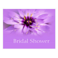 Elegant purple daisy flower bridal shower postcard postcards