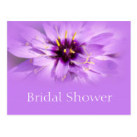 Elegant purple daisy flower bridal shower postcard postcard