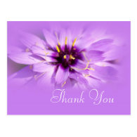 Elegant purple daisy flower thank you postcard. post card