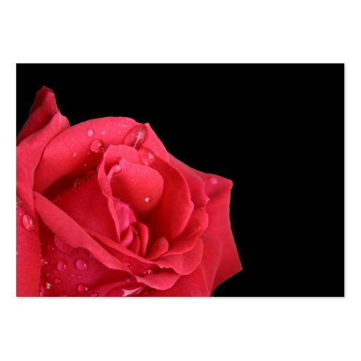 Elegant Red Rose Reception Insert Cards Business Card Template (back side)