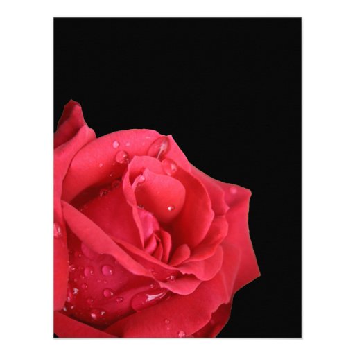 Elegant Red Rose Save the Date Cards Custom Invite