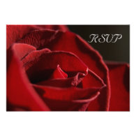 Elegant Red Rose Wedding RSVP Response Card Personalized Announcement