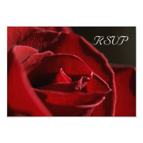 Elegant Red Rose Wedding RSVP Response Card 3.5