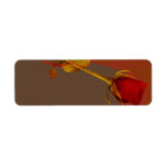 elegant red rose with a golden touch