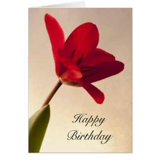 Elegant Red Tulip Birthday Card