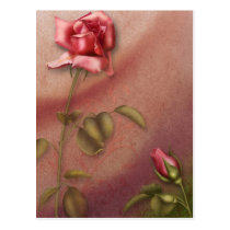 Elegant Rose 1 postcards