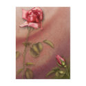 Elegant Rose 1 postcards