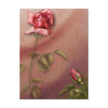 Elegant Rose 1 postcards by ElegantRose Elegant Rose 1 postcards
