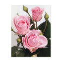 Elegant Rose 2 postcards by ElegantRose Elegant Rose 2 postcards