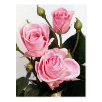 Elegant Rose 2 postcards