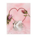 Elegant Rose 3 postcards