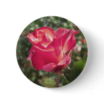 Elegant Rose Buttons by wingedturtle Elegant Rose Buttons