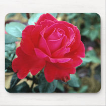Elegant rose mousepad 3 mousepads