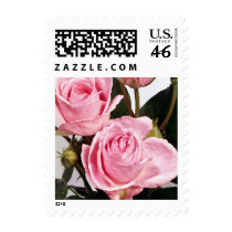 Elegant rose postage 216a stamps