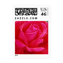 Elegant rose postage 258a stamps