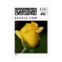 Elegant rose postage 830 stamps