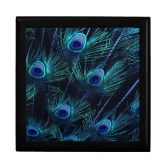Elegant Royal Blue Peacock Keepsake Giftbox