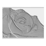 Elegant Silver Rose Post Cards