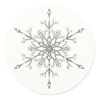 Elegant Silver Snowflake