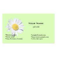 Elegant, simple white daisy flower business card template