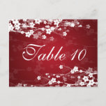 Elegant Table Number Cherry Blossom Red postcards