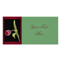 Elegant Tulip Photo Card photo cards by norman888 Elegant Tulip Photo Card photo cards