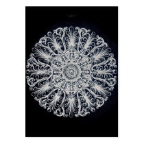 Elegant Victorian Medallion profile cards