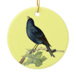 Elegant Vintage Black Bird Yellow ornaments