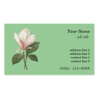 Elegant vintage botanical art magnolia flower business card template