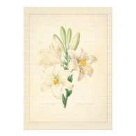 Elegant vintage botanical art white lily wedding invites