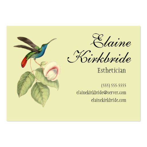 Elegant Vintage Hummingbird Salon Appointment Business Card (front side)