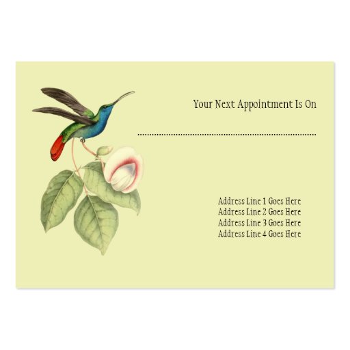 Elegant Vintage Hummingbird Salon Appointment Business Card (back side)