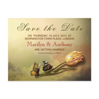 elegant vintage painting save the date postcards
