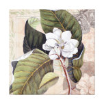 Elegant Vintage Southern White Magnolia Gallery Wrapped Canvas