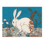 Elegant Vintage White Rabbit Postcard