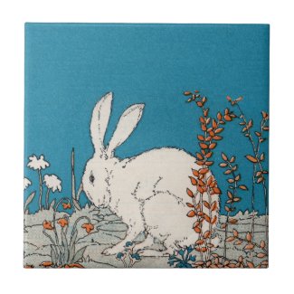 Elegant Vintage White Rabbit