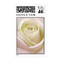 Elegant white bridal rose postage