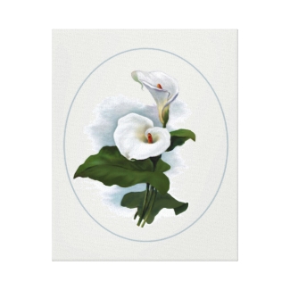 Elegant White Calla Lilies