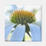 Elegant White Coneflower Refrigerator Magnet