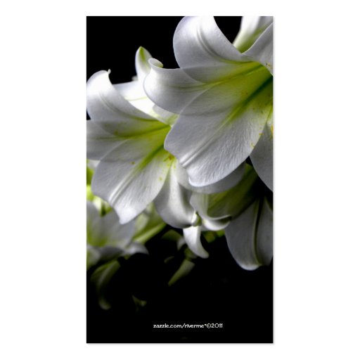 Elegant White Lilies Business/Profile Card Business Card Template (back side)