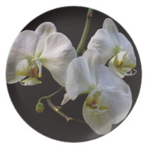 Elegant White Orchids on Black plates
