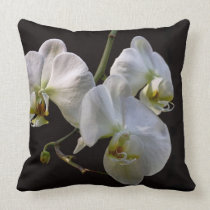 Elegant White Orchids on Black pillows
